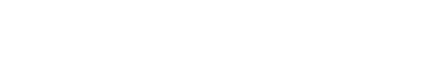 VAG Master